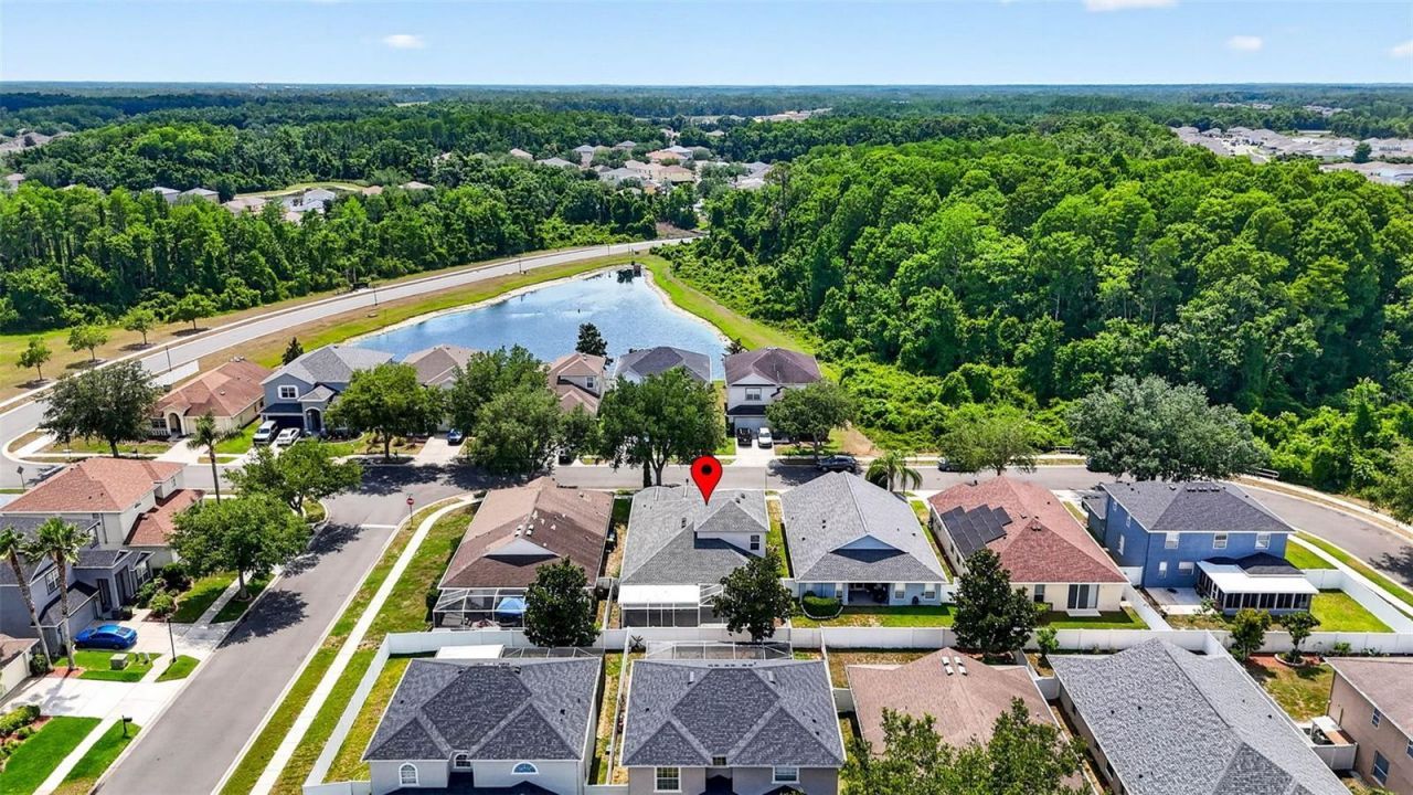 10024 Coldwater Loop, Land O Lakes, FL 34638 Photo