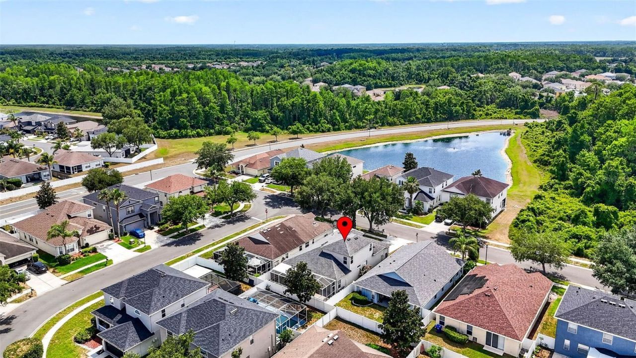 10024 Coldwater Loop, Land O Lakes, FL 34638 Photo