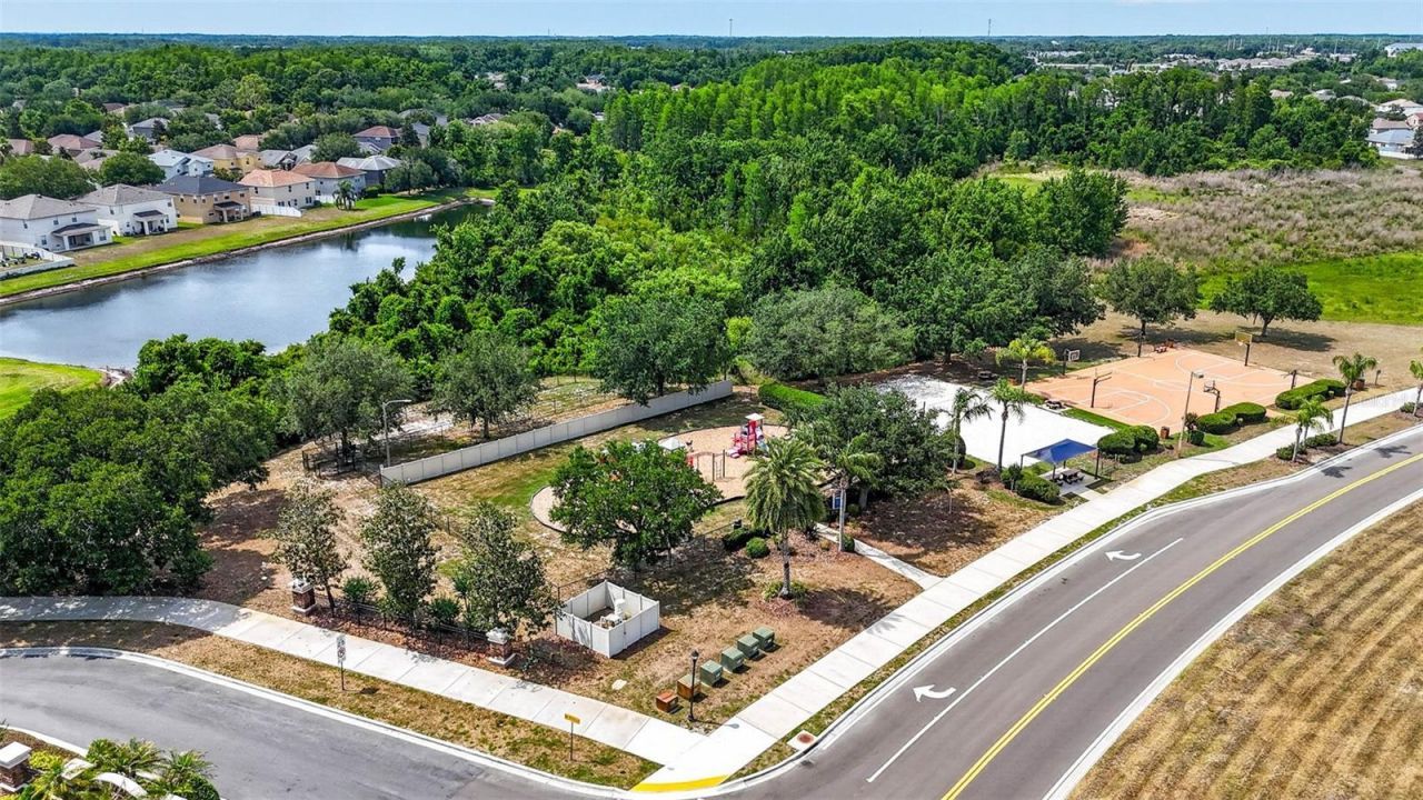 10024 Coldwater Loop, Land O Lakes, FL 34638 Photo