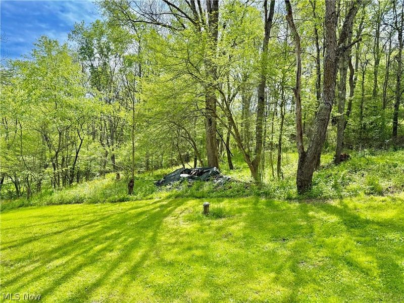 11811 Gaston Road, Negley, OH 44441 Photo 10