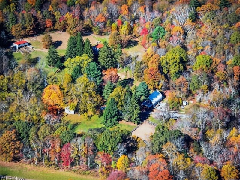11811 Gaston Road, Negley, OH 44441 Photo 2