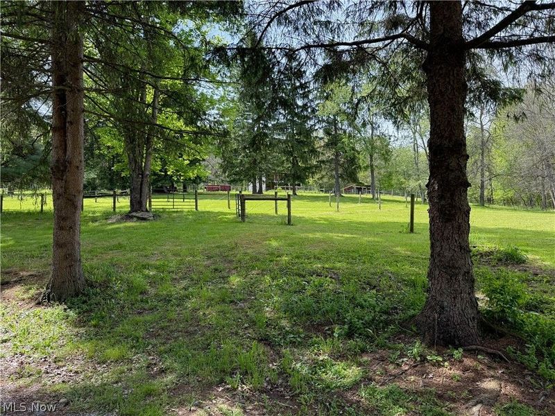11811 Gaston Road, Negley, OH 44441 Photo 14