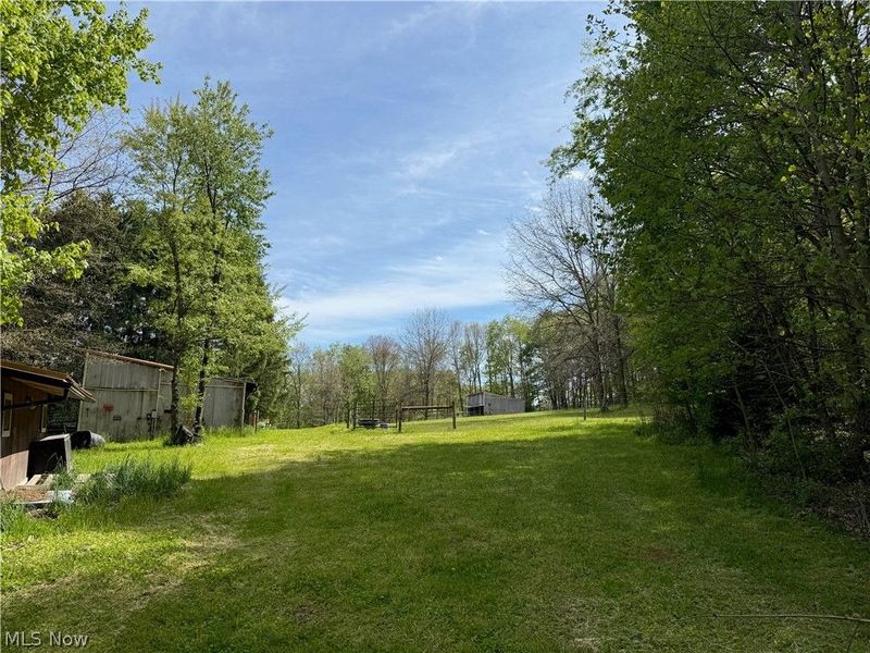 11811 Gaston Road, Negley, OH 44441 Photo 15