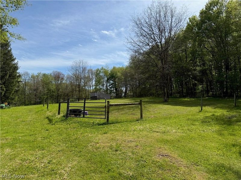 11811 Gaston Road, Negley, OH 44441 Photo 20