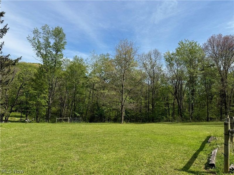 11811 Gaston Road, Negley, OH 44441 Photo 22