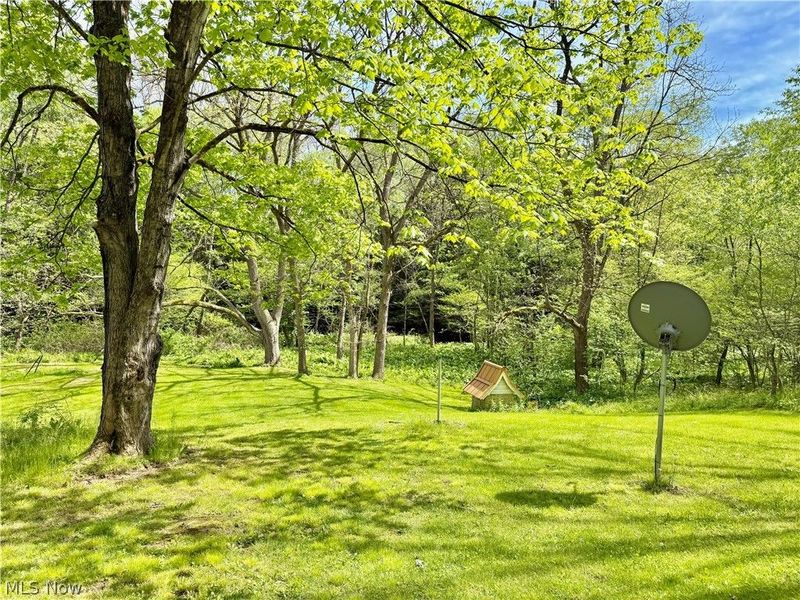 11811 Gaston Road, Negley, OH 44441 Photo 6