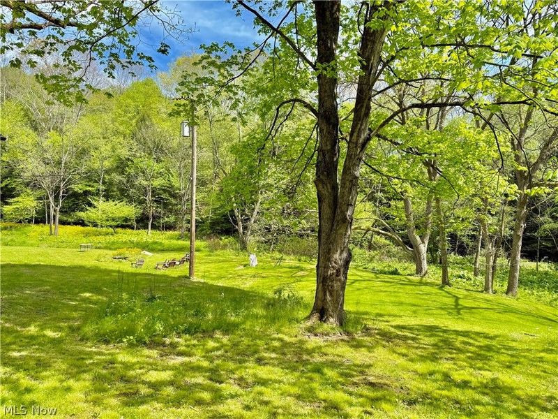 11811 Gaston Road, Negley, OH 44441 Photo 7