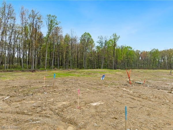 9525 River Birch Run , Brecksville, OH 44141