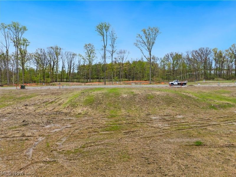 9525 River Birch Run, Brecksville, OH 44141 Photo 2