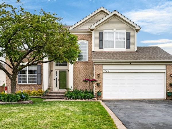 230 Vail Court , Gilberts, IL 60136