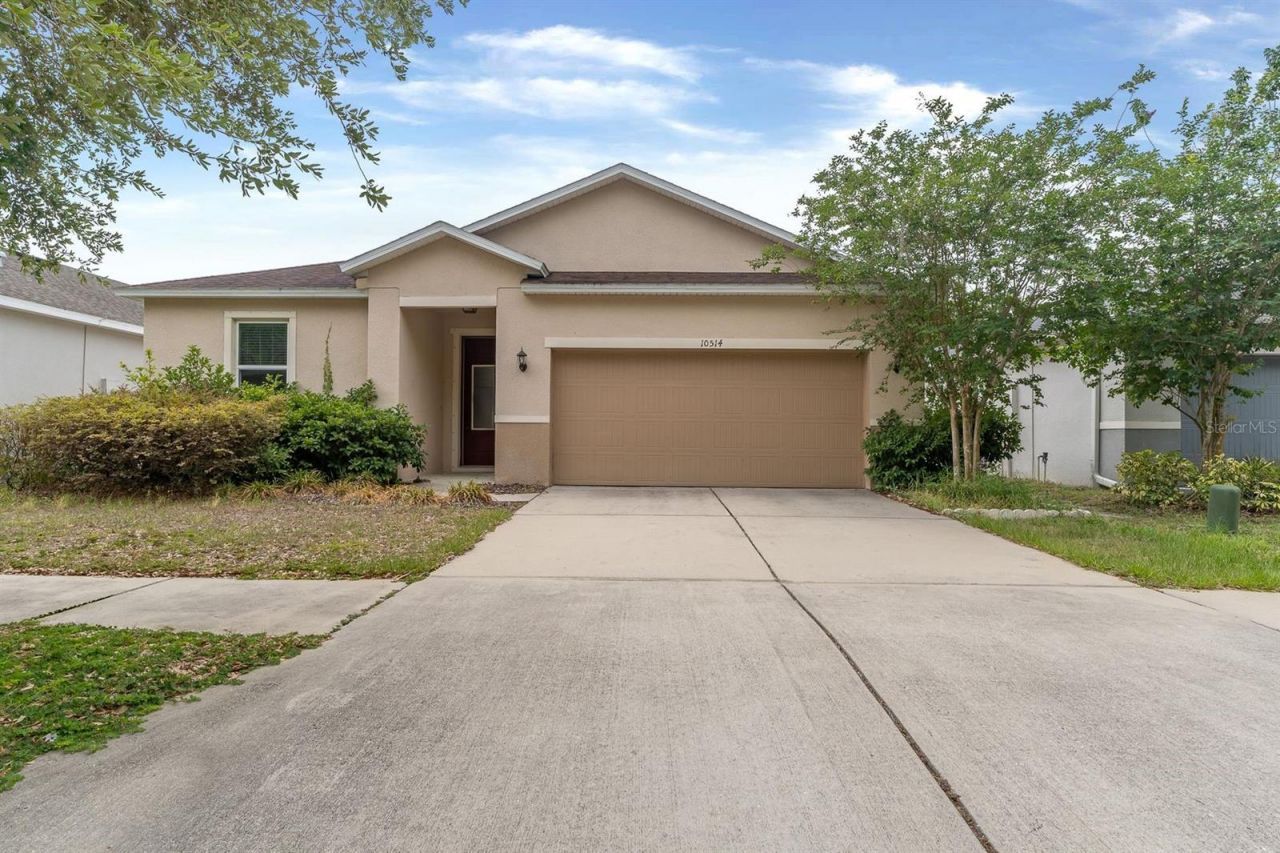 10514 Medford Lake Drive, Riverview, FL 33578 Main Photo