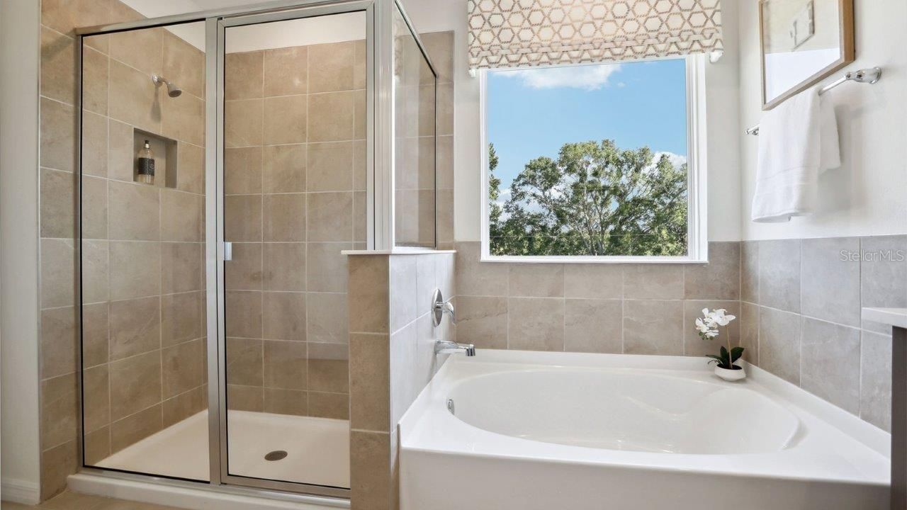 17472 Acorn Drop Road , Land O Lakes, FL 34638 Photo