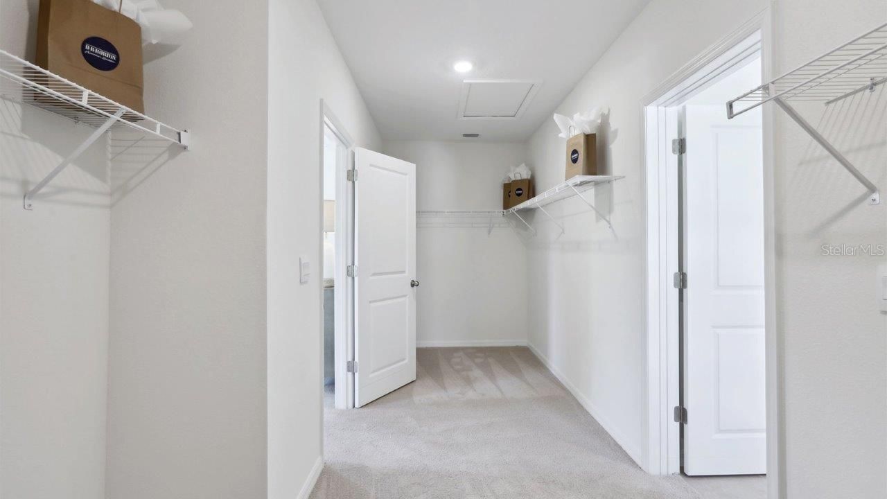 17472 Acorn Drop Road , Land O Lakes, FL 34638 Photo