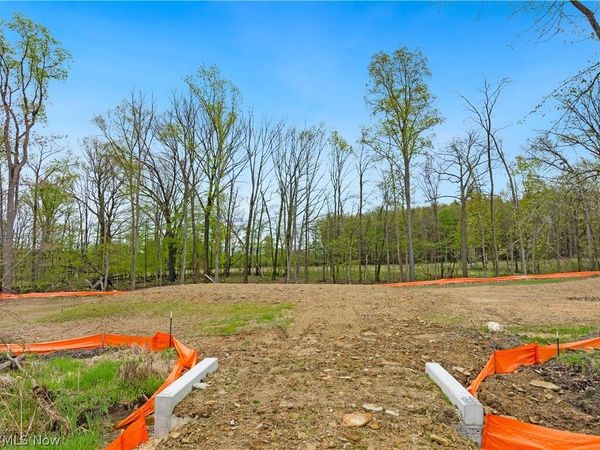 9528 River Birch Run , Brecksville, OH 44141