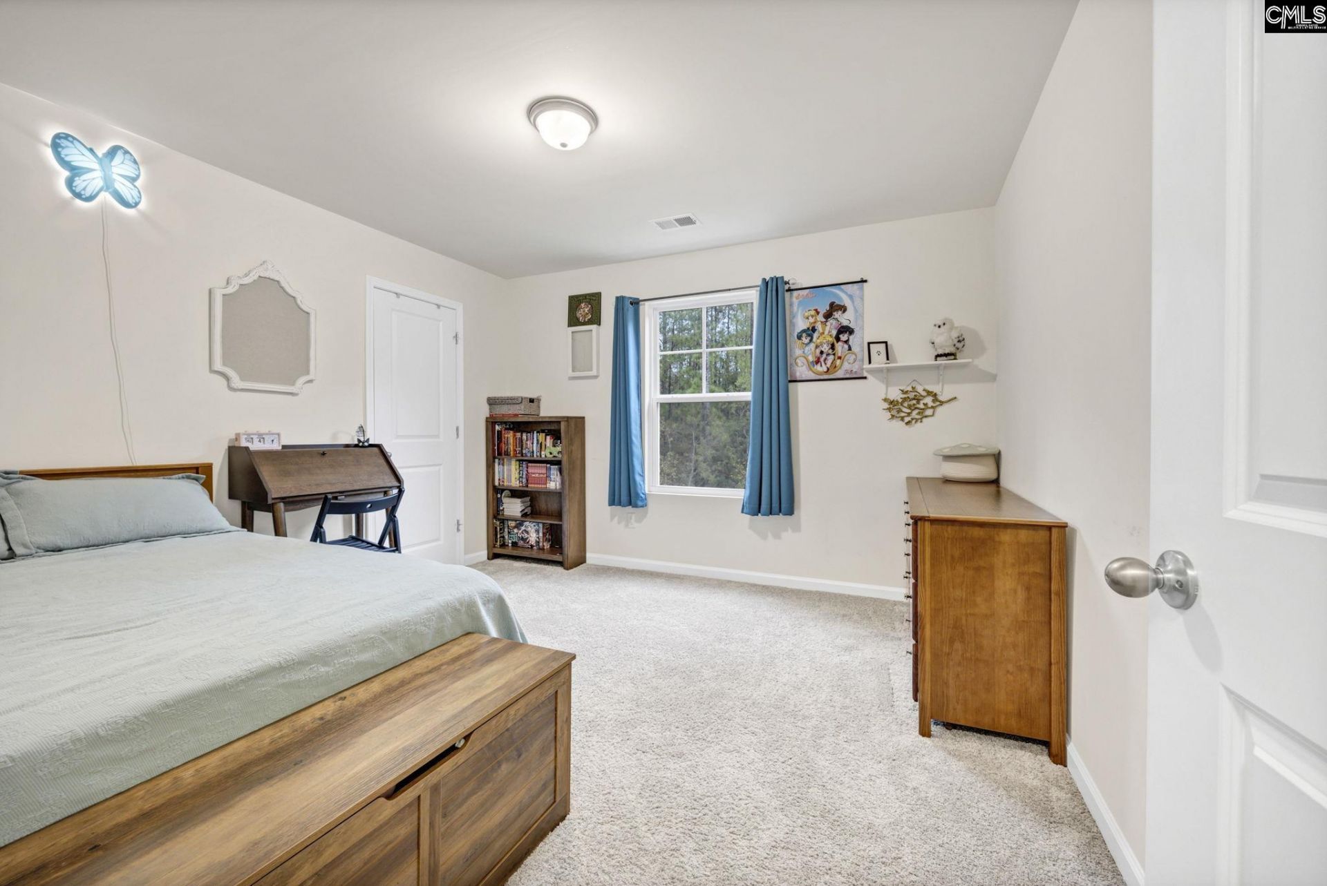 169 Carriagebrook Circle  Photo 31