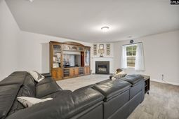 169 Carriagebrook Circle  photo 4
