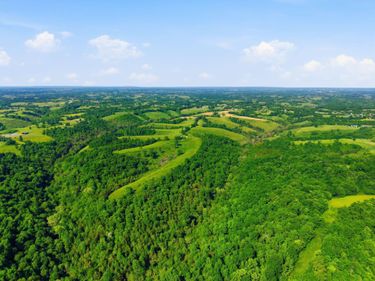 1102 Nina Ridge Road, Lancaster, KY 40444