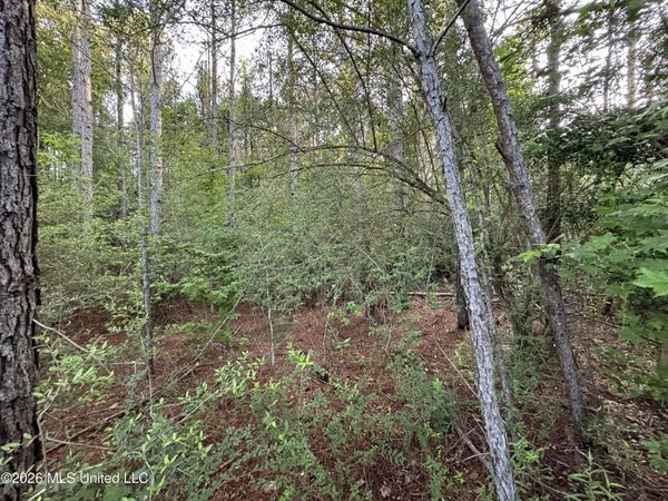 N Lot 1 River Road, Summit, MS 39666