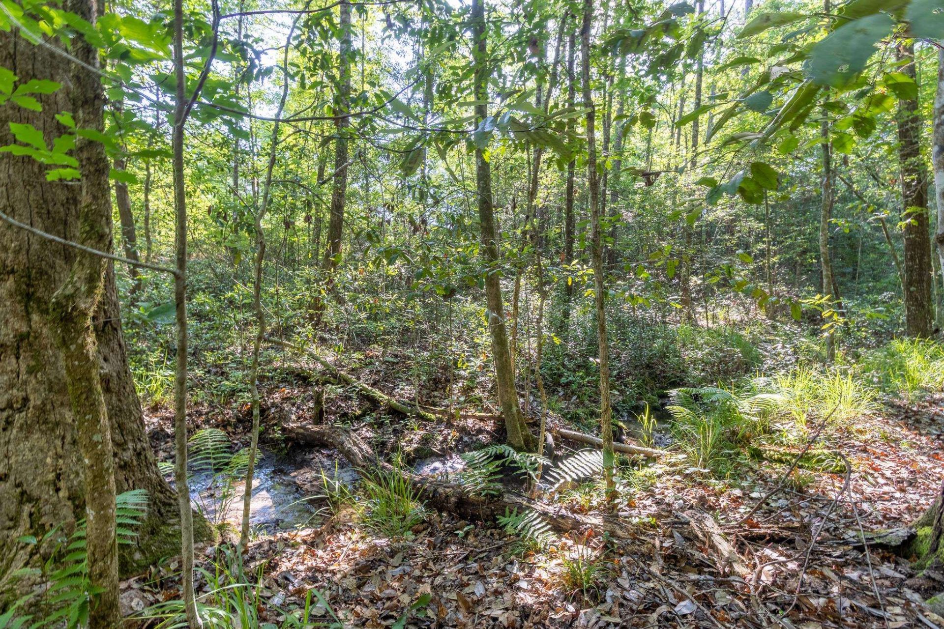 293 Hummingbird Lane , Other Florida, FL 32455 Photo