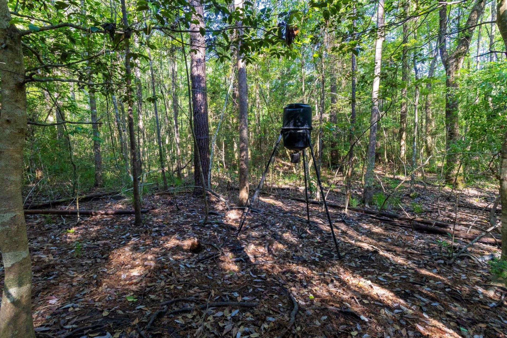 293 Hummingbird Lane , Other Florida, FL 32455 Photo