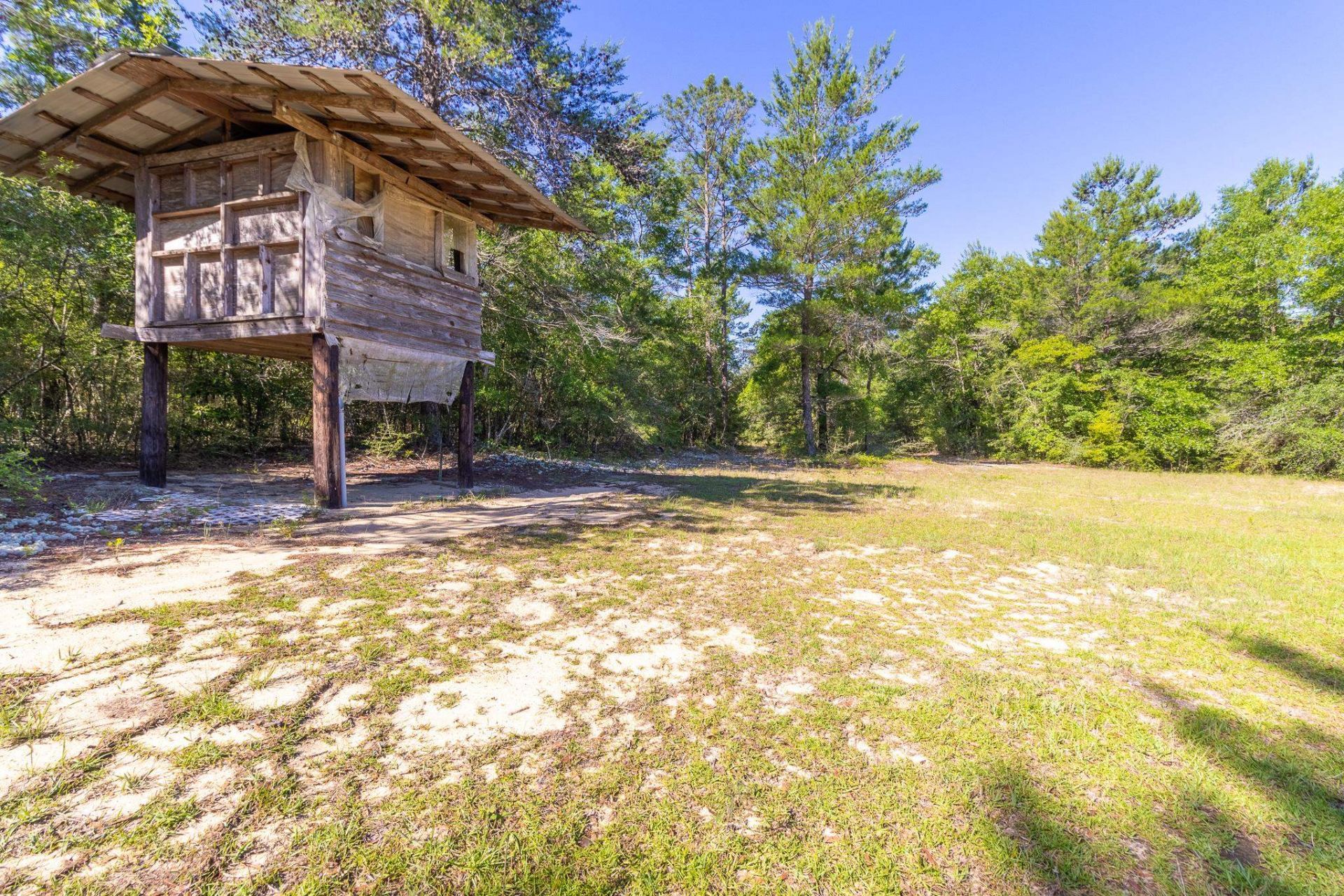 293 Hummingbird Lane , Other Florida, FL 32455 Photo