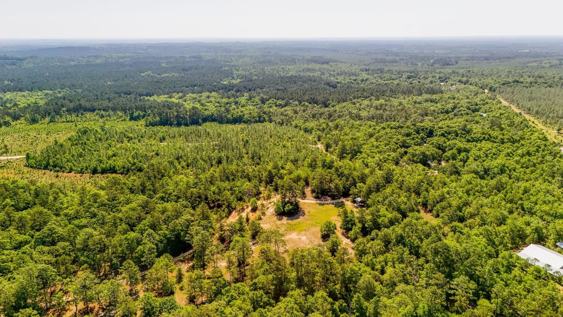 293 Hummingbird Lane , Other Florida, FL 32455 Photo