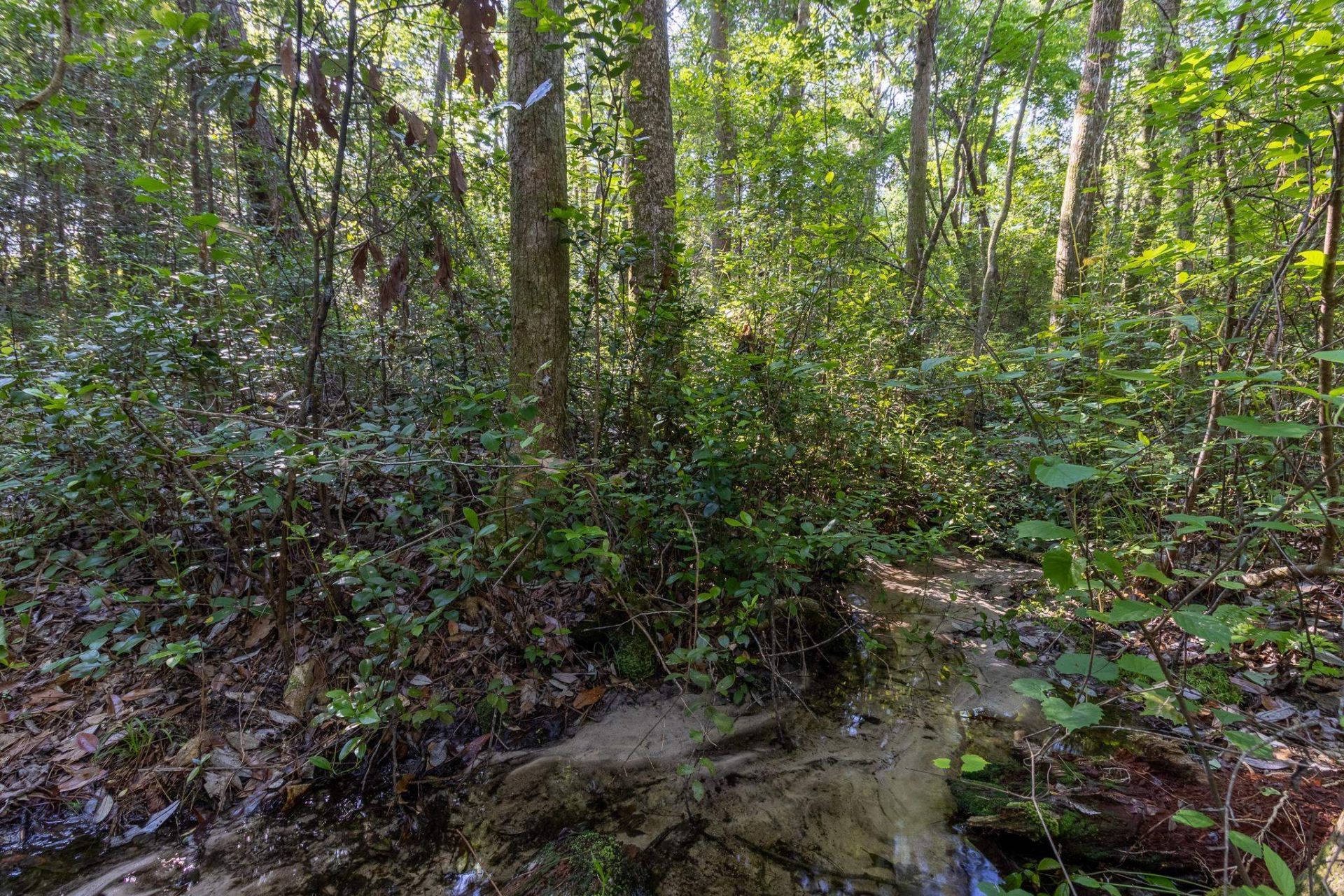293 Hummingbird Lane , Other Florida, FL 32455 Photo