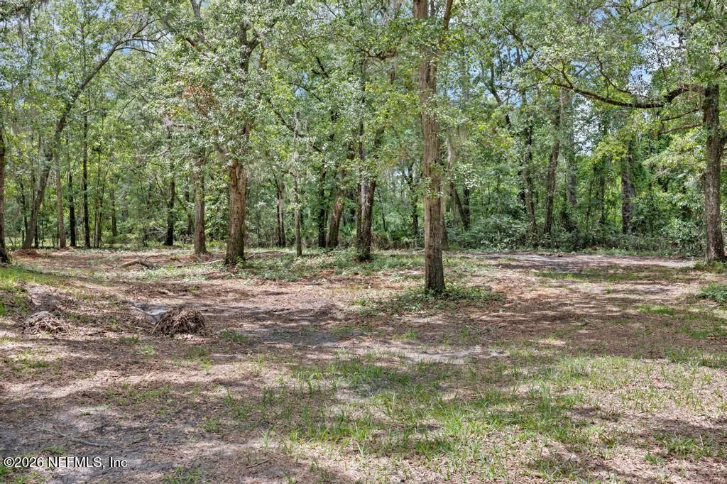 5310 Jacaranda Avenue, Middleburg, FL 32068 Photo