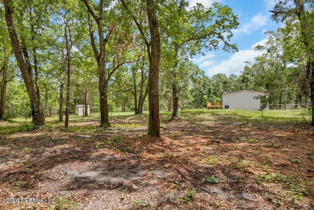 5310 Jacaranda Avenue, Middleburg, FL 32068 Photo