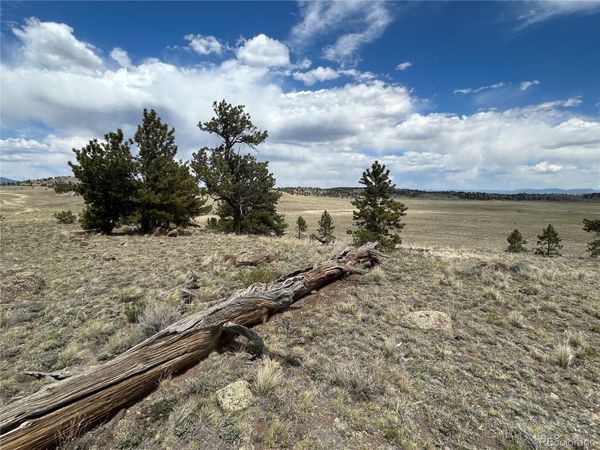591 Singletree Court , Hartsel, CO 80449