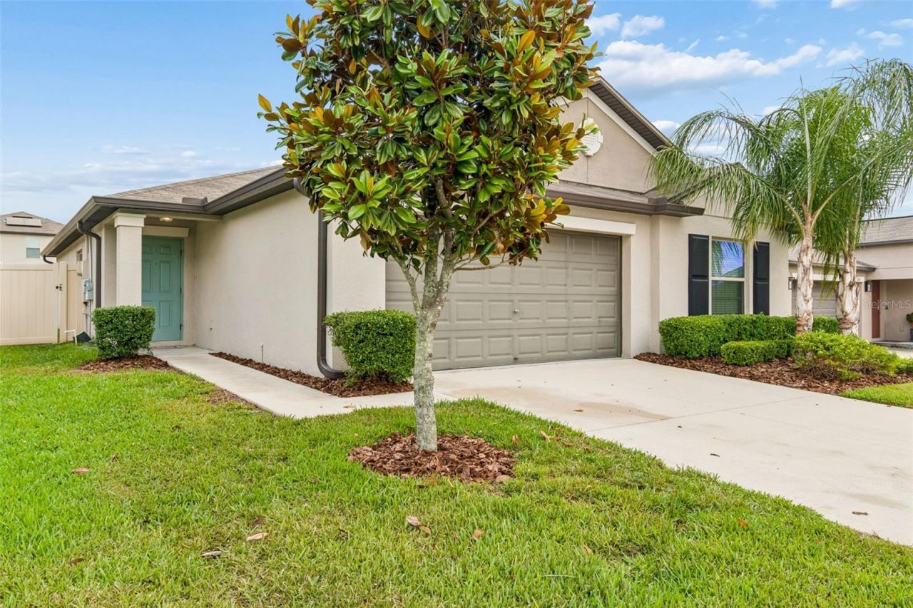 6307 Spring Crayfish Avenue, New Port Richey, FL 34653 Photo