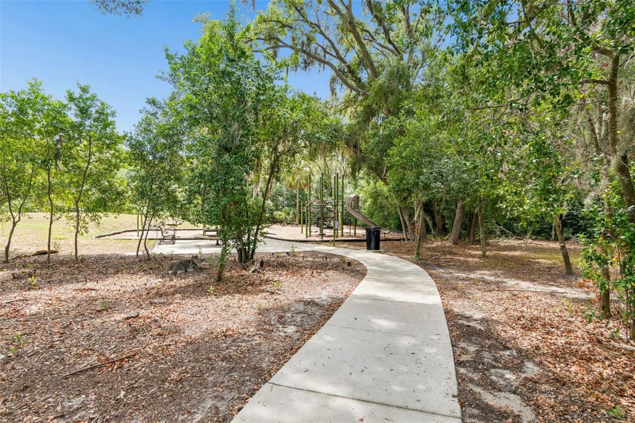6307 Spring Crayfish Avenue, New Port Richey, FL 34653 Photo