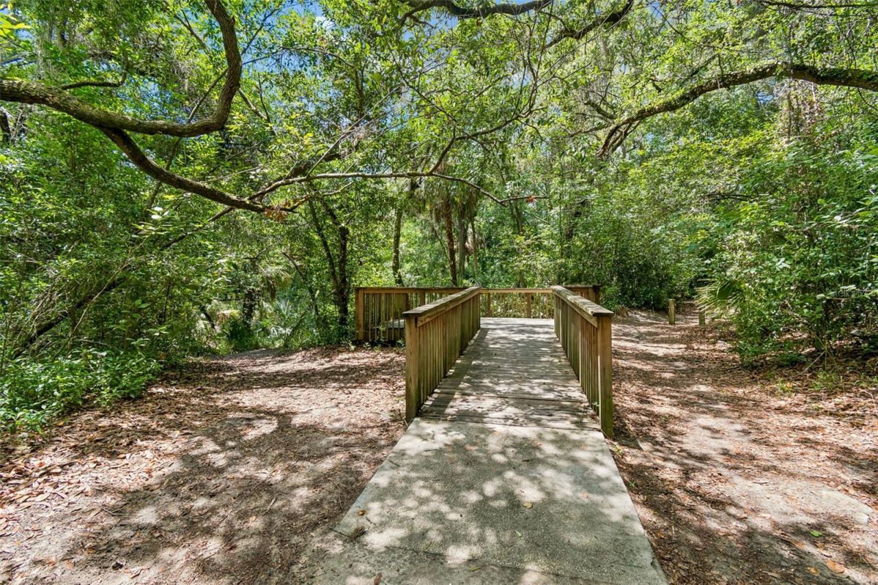 6307 Spring Crayfish Avenue, New Port Richey, FL 34653 Photo