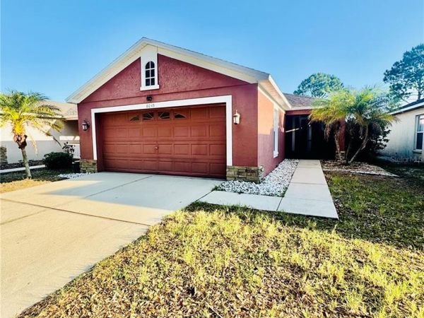 8035 CANTERBURY LAKE BOULEVARD , TAMPA, FL 33619