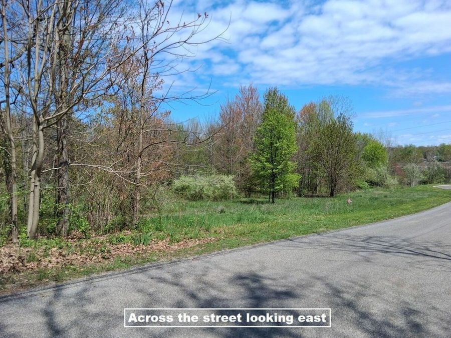 Property Image 61