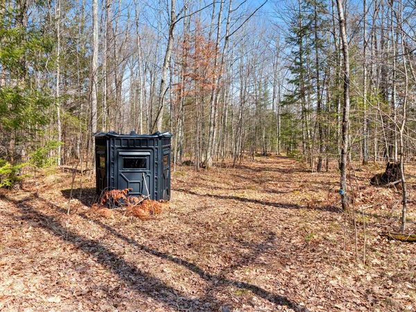 BUETTNER ROAD, White Lake, WI 54491