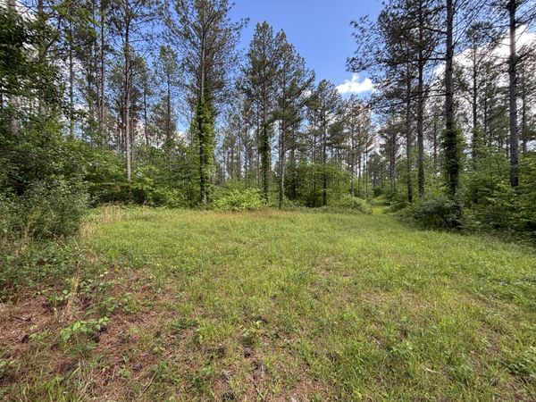 82 Bennie Camp Road, Dunlap, TN 37327