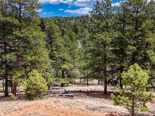 16 View Circle , Florissant, CO 80816