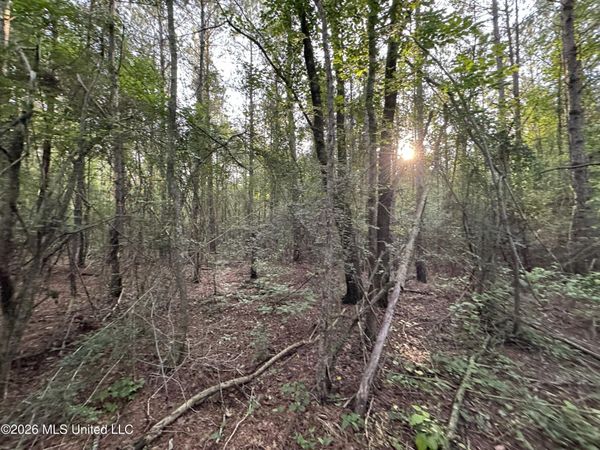 N Lot 2 River Road, Summit, MS 39666