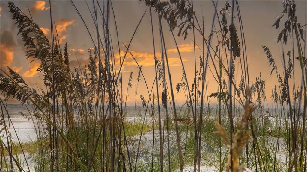 7686 Pebble Creek Cir, Unit 301, Naples, FL 34108 Photo