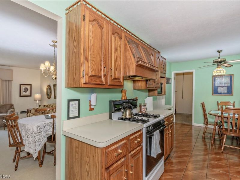 5899 S Shandle Boulevard, Mentor, OH 44060 Photo 10