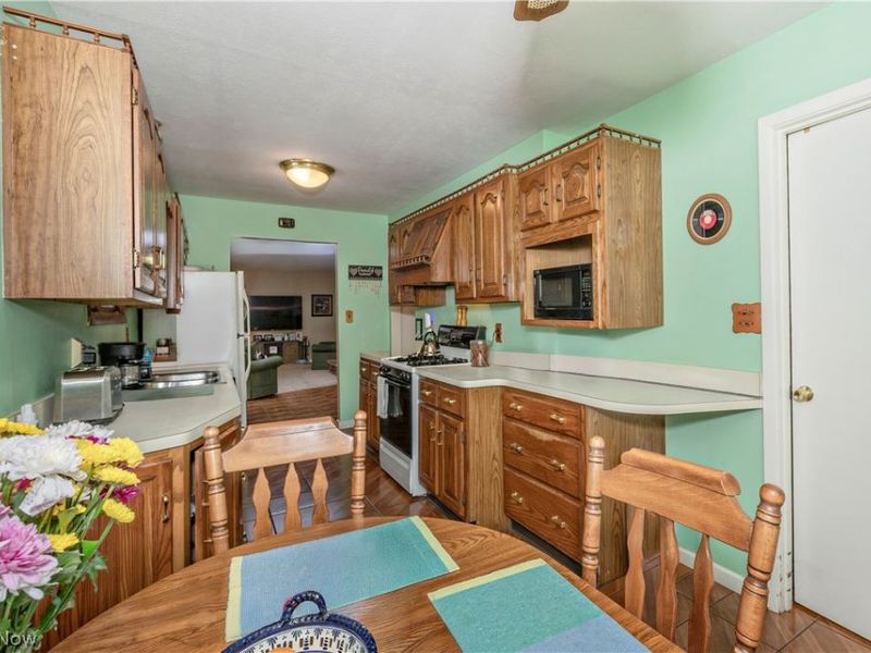 5899 S Shandle Boulevard, Mentor, OH 44060 Photo 14