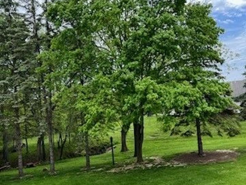 1250 S Sawburg Avenue, Alliance, OH 44601 Photo 8