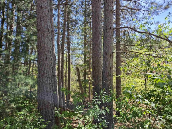 Lot 204 Raven Drive, New Lisbon, WI 53950