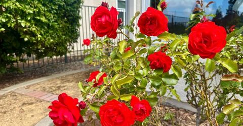 7026 Lost Lake Ln, Roseville, CA 95747 Photo