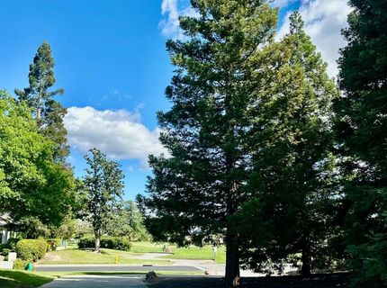 7026 Lost Lake Ln, Roseville, CA 95747 Photo