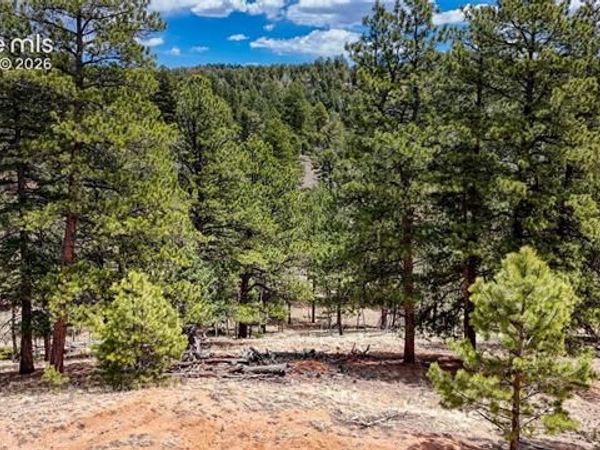16 View Circle, Florissant, CO 80816