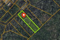 1227 Rainbow Dr.  photo 4