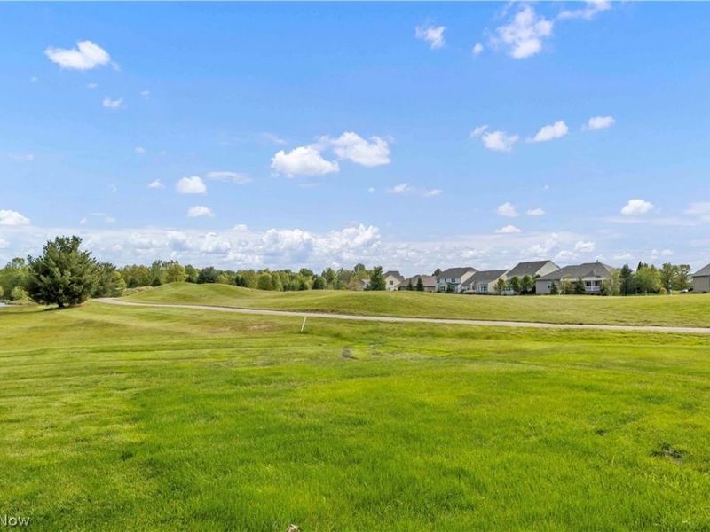 147 Granger Drive , Lagrange, OH 44050 Photo 36