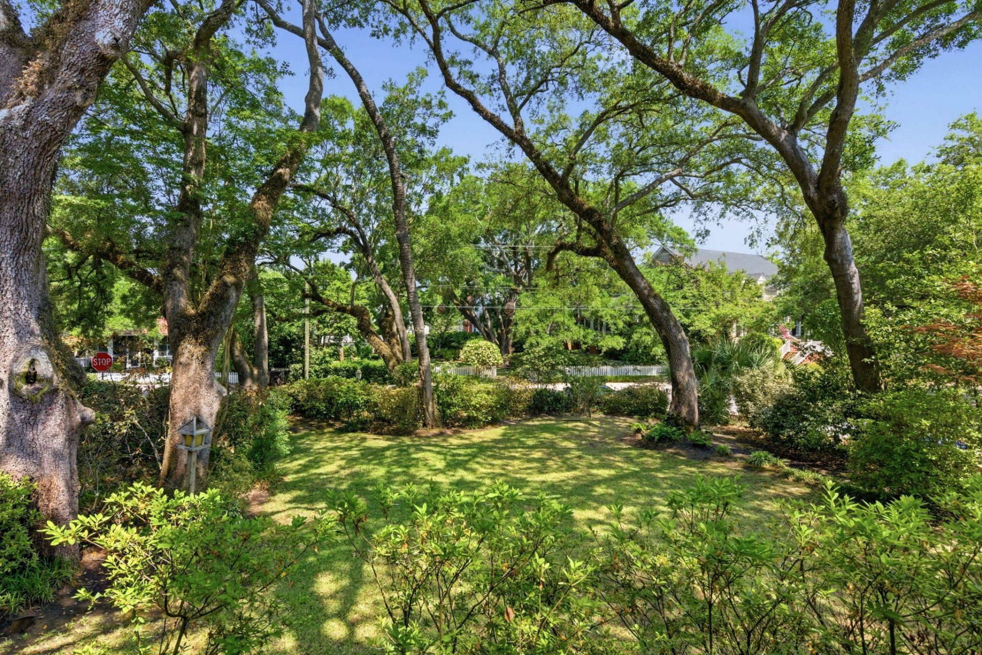 143 Live Oak Drive Photo 4